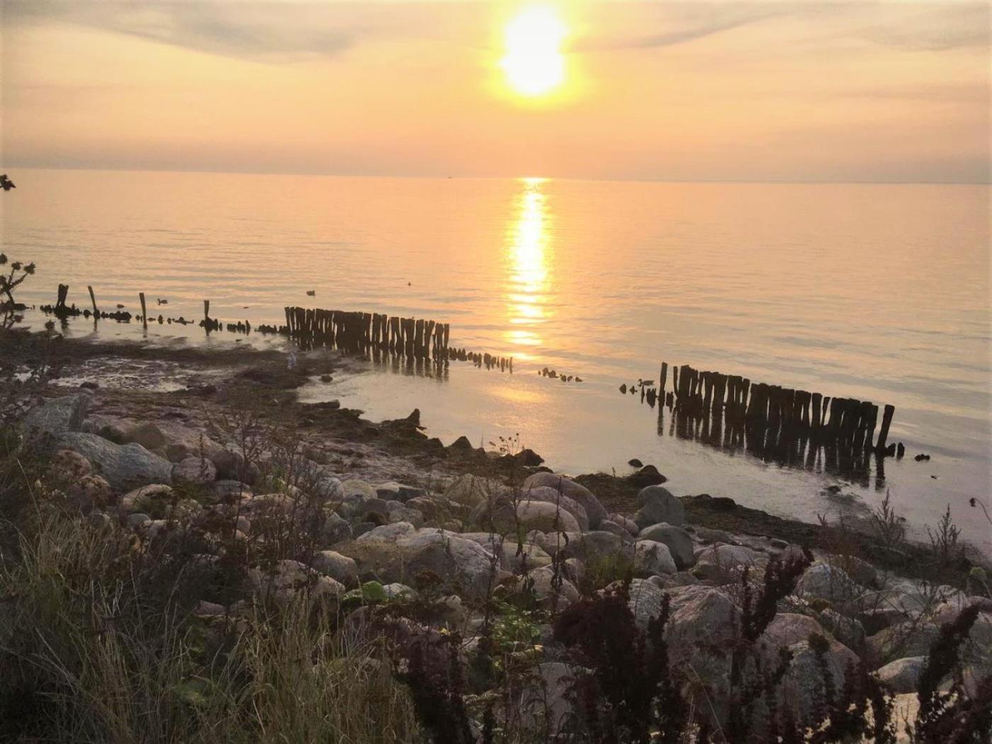 Dahmer Strand 18 Muschelhus Екстер'єр фото